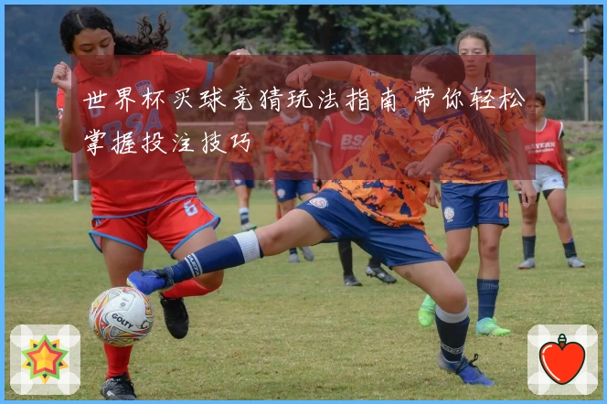 世界杯买球竞猜玩法指南 带你轻松掌握投注技巧