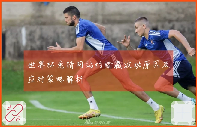 世界杯竞猜网站的输赢波动原因及应对策略解析