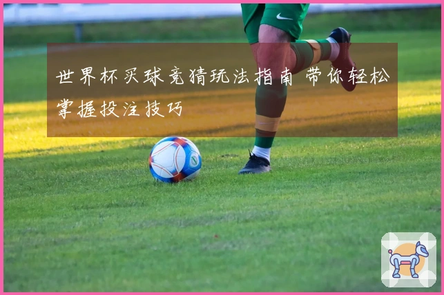 世界杯买球竞猜玩法指南 带你轻松掌握投注技巧