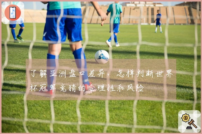 了解亚洲盘口差异，怎样判断世界杯冠军竞猜的合理性和风险